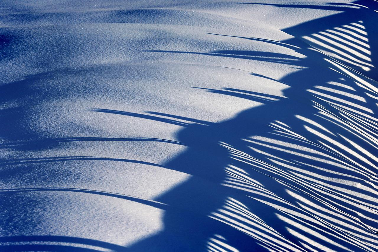 Schattenspiel auf dem Schnee Schattenspiel auf dem Schnee