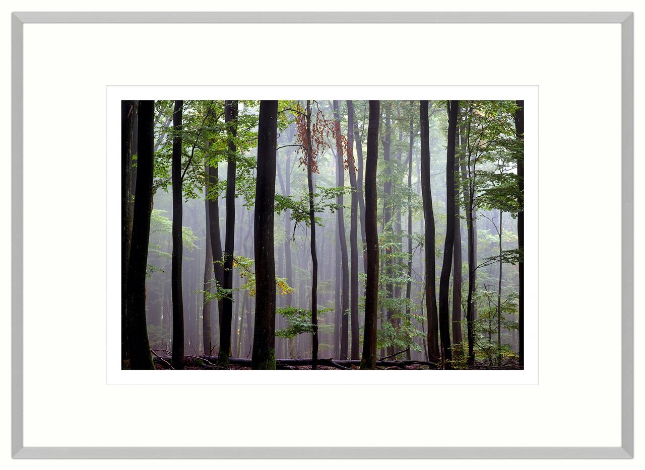 Herbstlicher Spessart