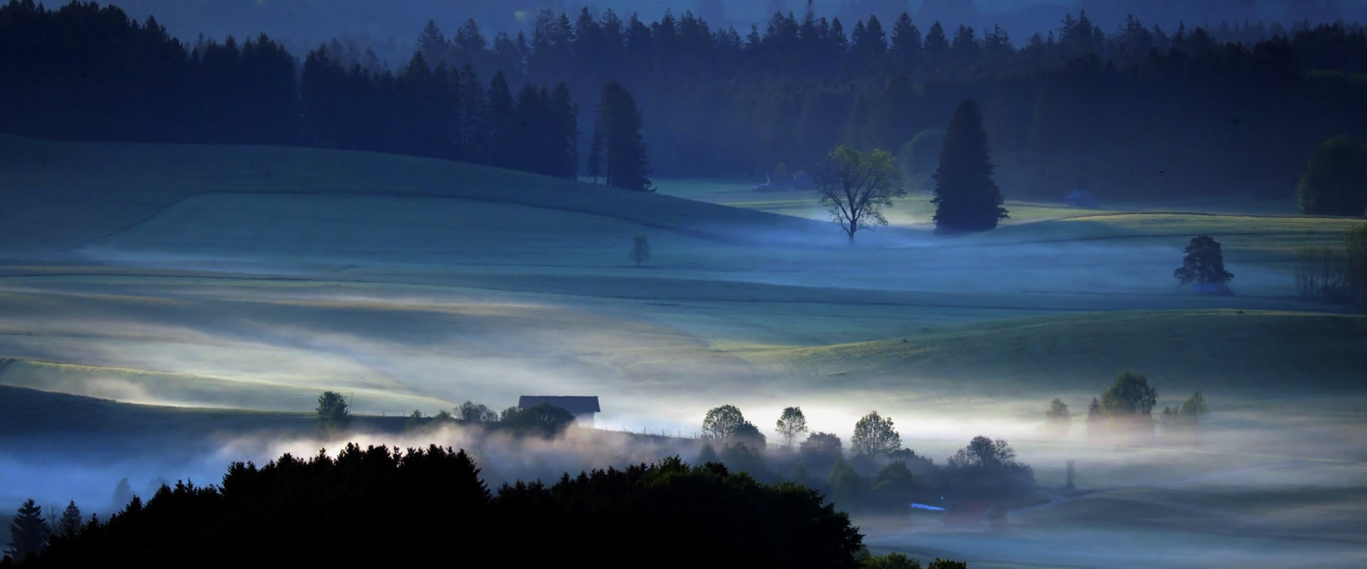 Nebelschleier über einer Wiese im Alpenvorland bei Sonnenaufgang.