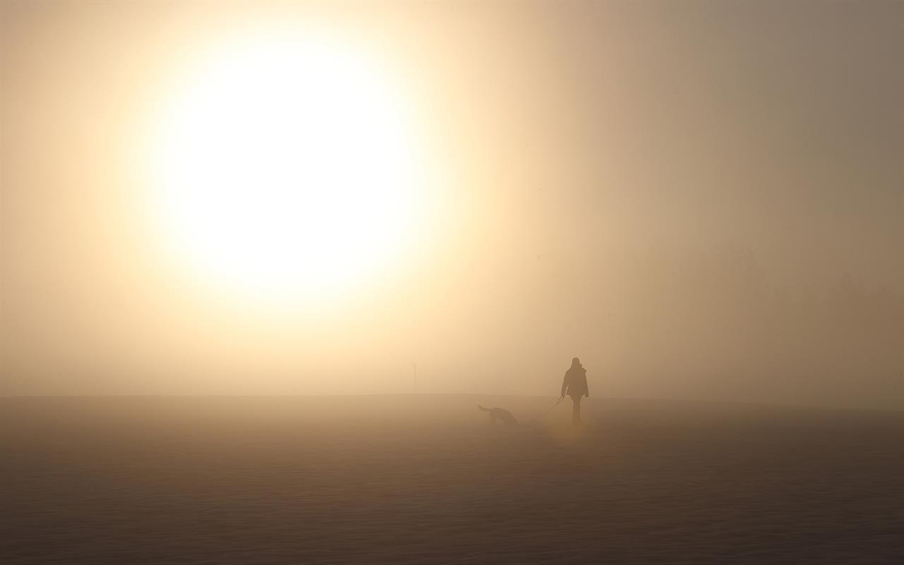 Spaziergang im Schnee und Nebel