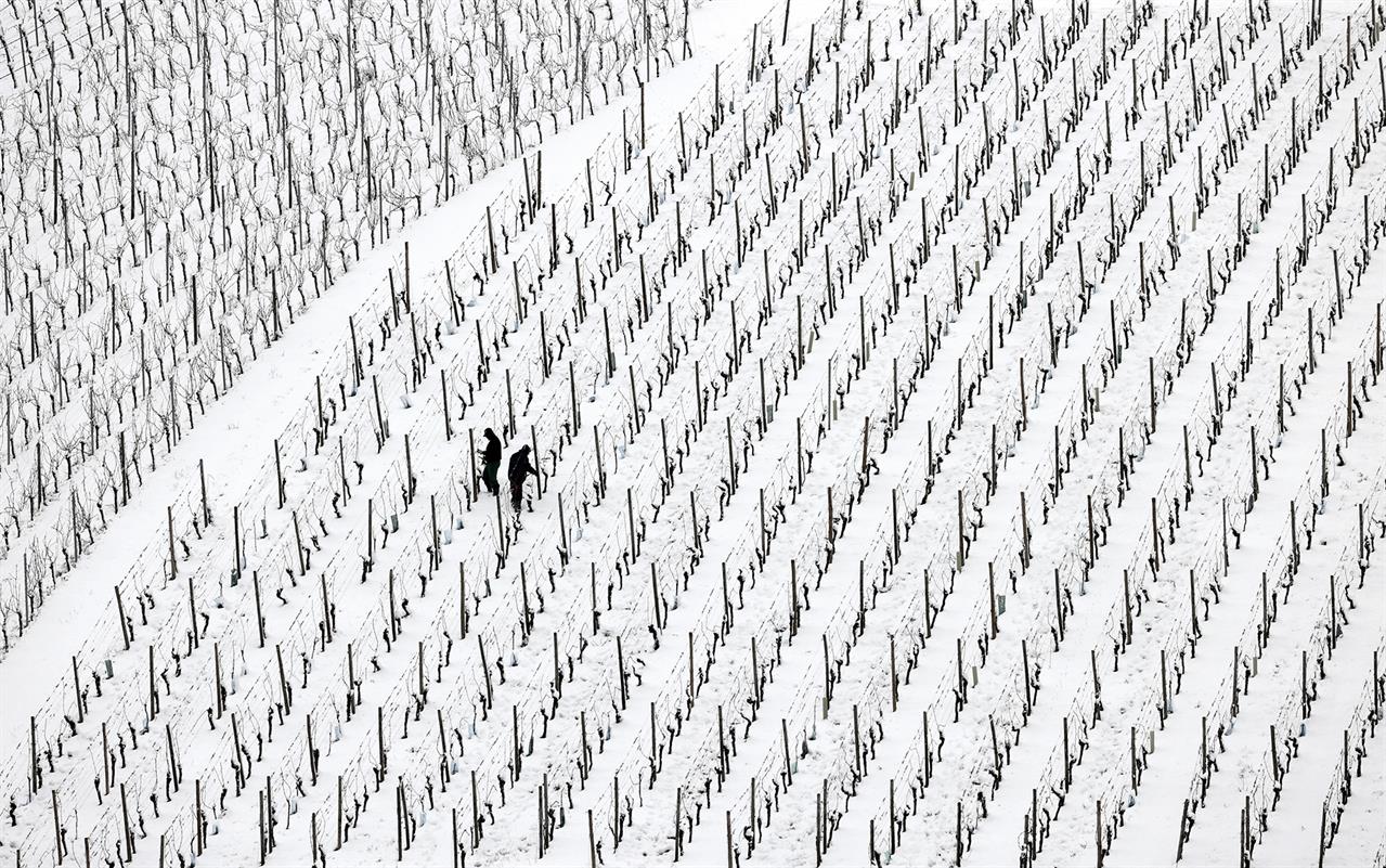 Schnee in tieferen Lagen Bayerns