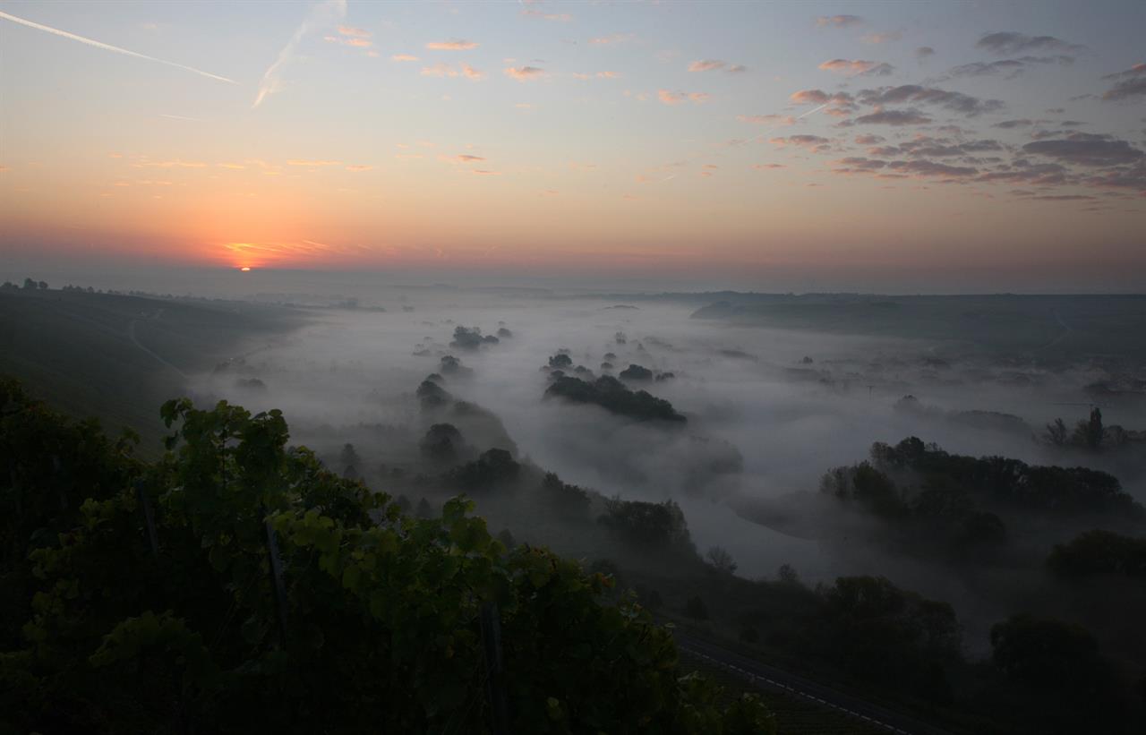 Mainschleife im Morgennebel